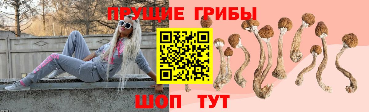 Ейск  Псилоцибиновые грибы прущие грибы  Вход с VPN  купить наркотики сайты  Псилоцибиновые грибы Magic Shrooms 