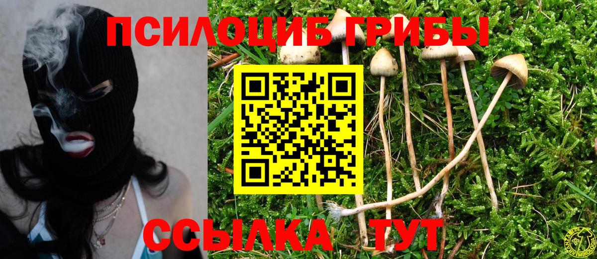 Псилоцибиновые грибы MAGIC MUSHROOMS Ейск